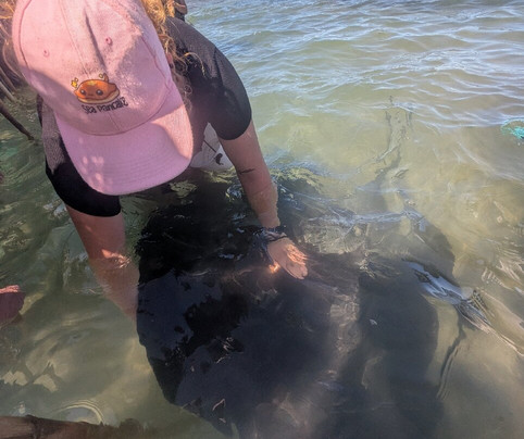 Dive Tatapouri-Gisborne Region必去景点