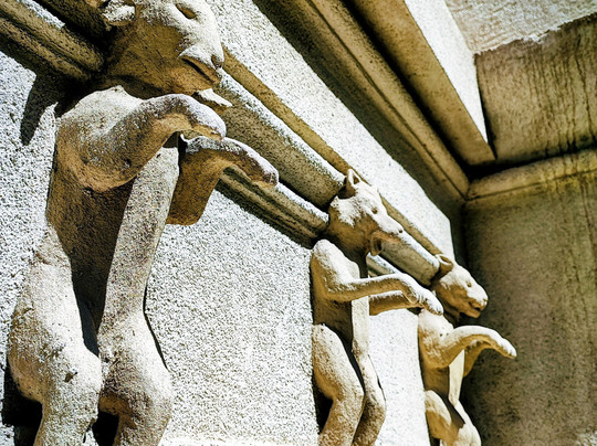 Eco Parque-布宜诺斯艾利斯必去景点