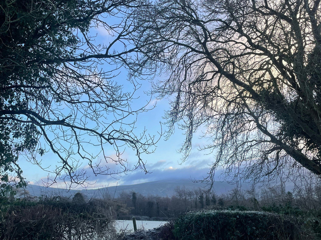 Baltyboys Lodge B & B主图