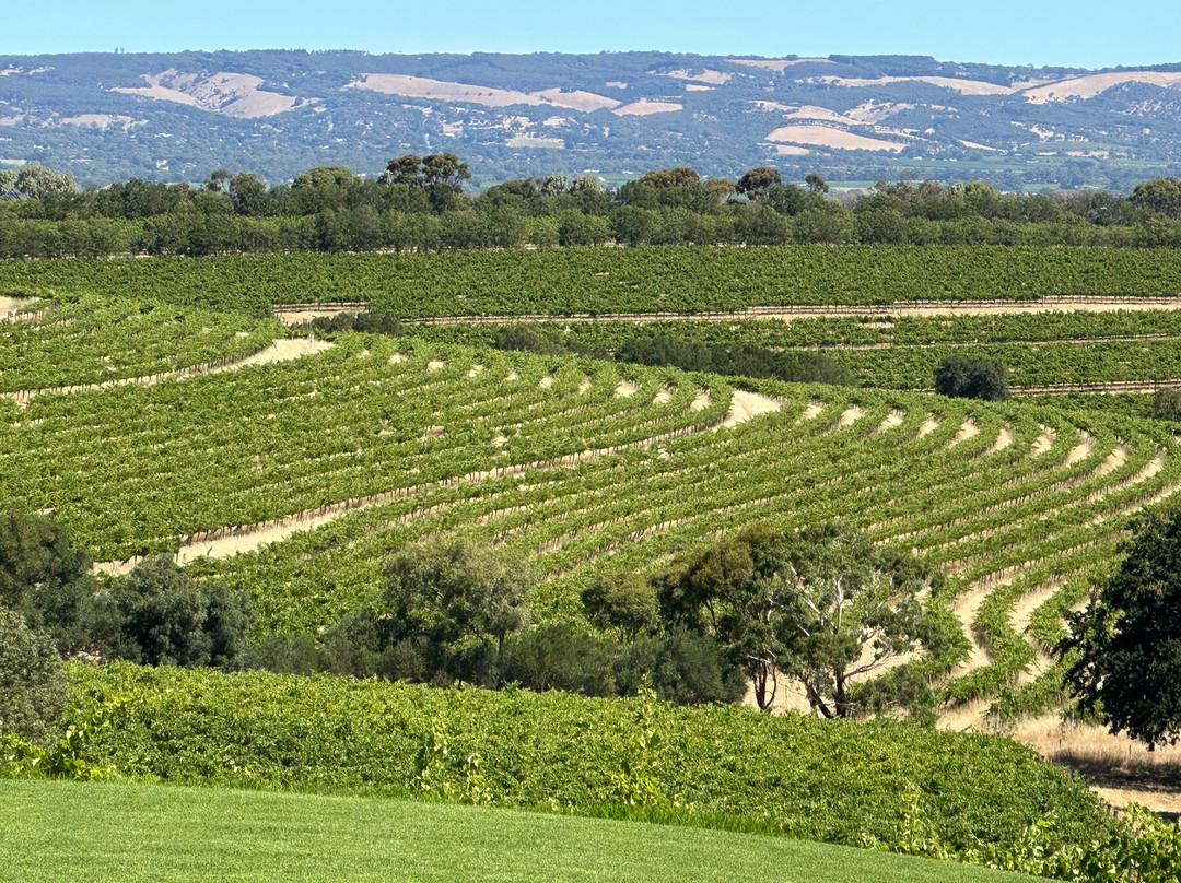 Samuel's Gorge-麦克拉伦谷必去景点