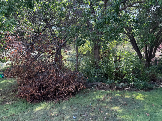 赛普拉斯湖盛橡度假酒店主图