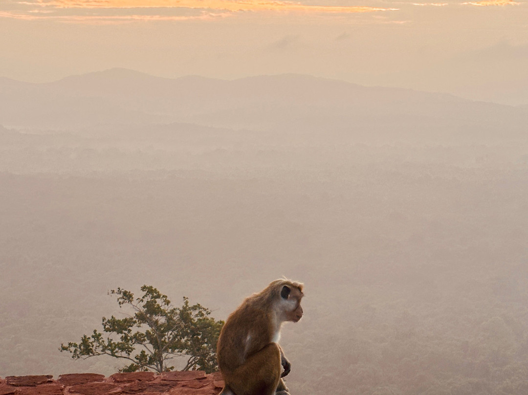 H.O.T Tourism-科伦坡必去景点