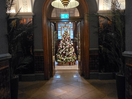 Palm Court Bar-利物浦必去景点