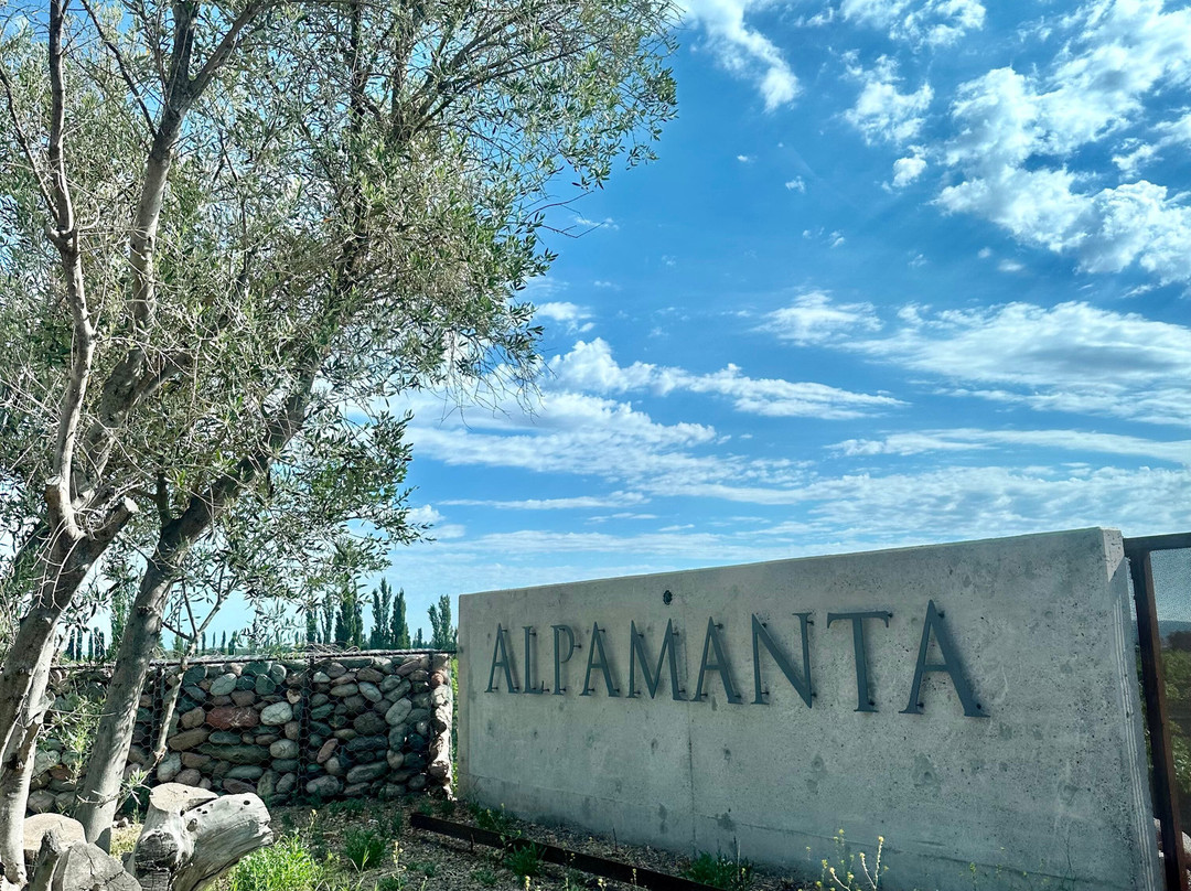 Bodega Alpamanta-路冉得库约必去景点