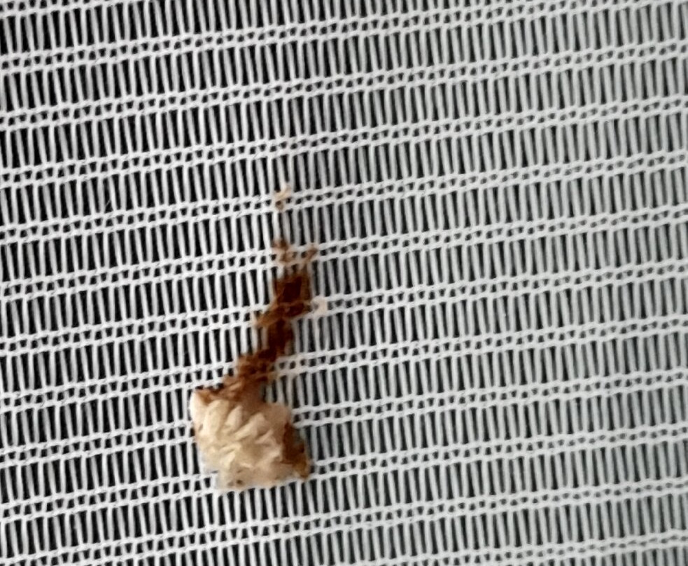 Premier Inn Trowbridge hotel主图