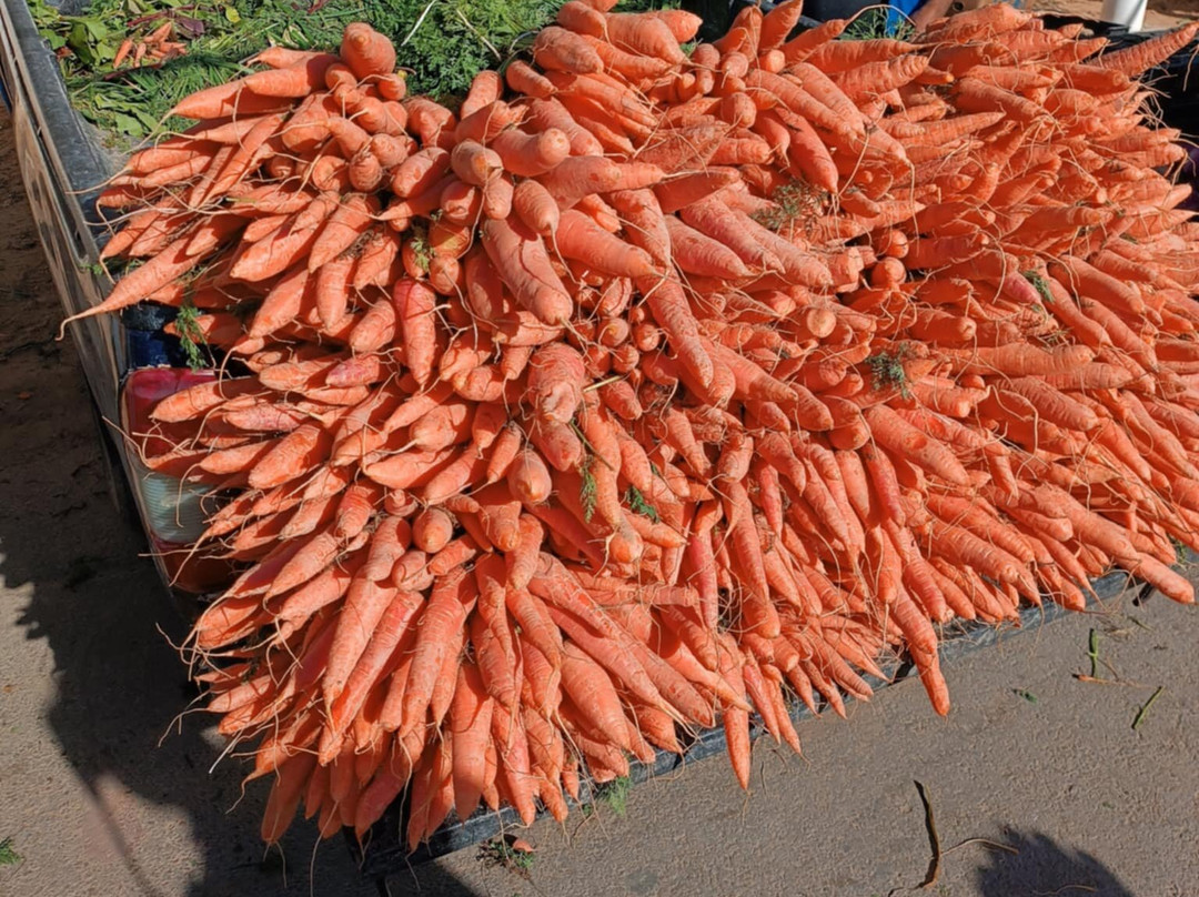Marché De Midoun-米栋必去景点