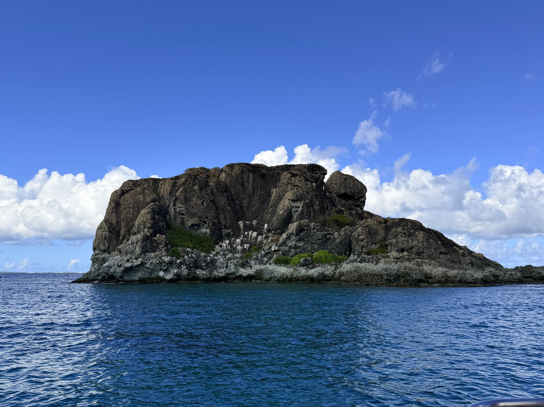 Captain Alan's Boat Charters-Oyster Pond必去景点