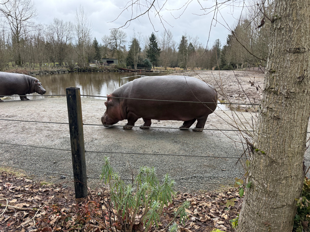 Greater Vancouver Zoo-Aldergrove必去景点