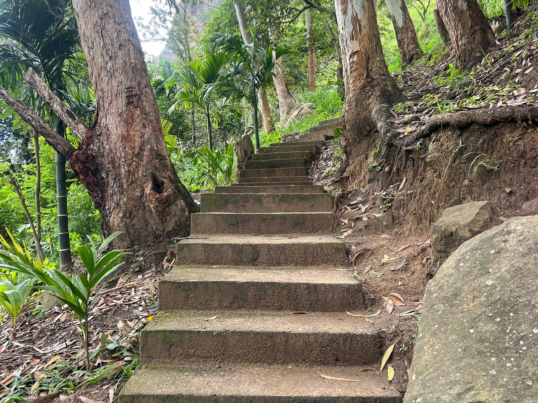SS Lanka Tours-凯拉尼亚必去景点
