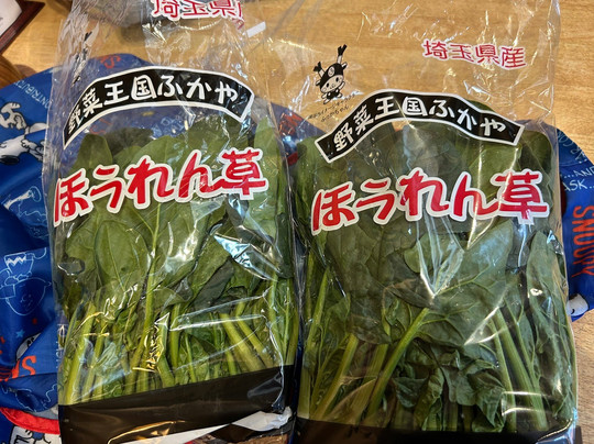 Michi-no-Eki Okabe-深谷市必去景点