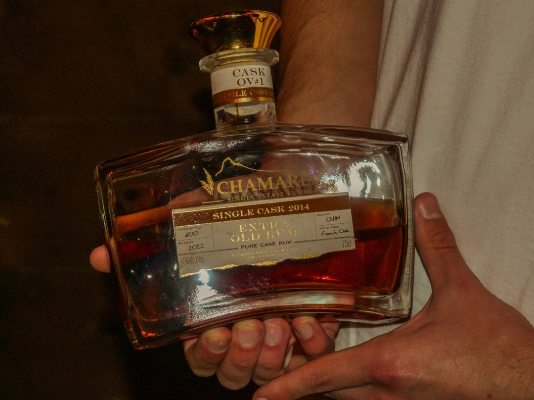 Beer & Dash-尼斯必去景点