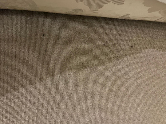 The Plough Inn主图