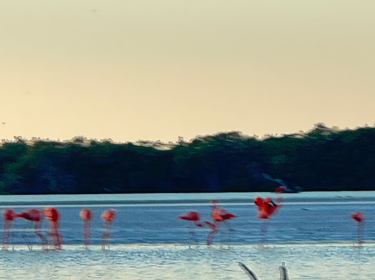 My Holbox Tours-Holbox必去景点