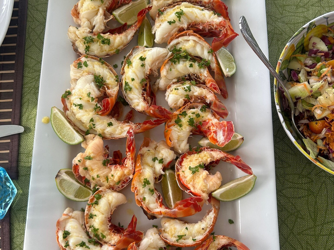 Flying Ginny Catamaran Charter-埃尔波韦尼尔必去景点