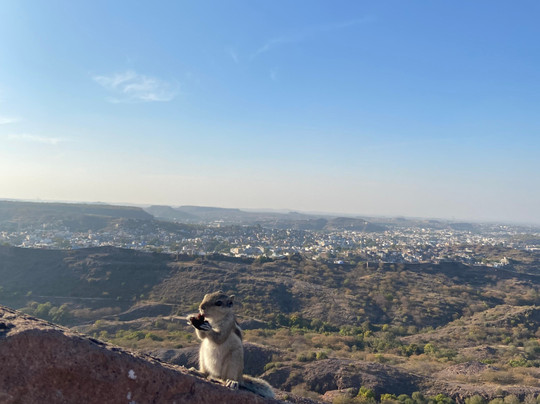 K.S.Tours-焦特布尔必去景点