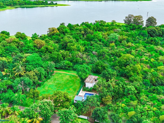 Forest Dew - Udawalawa