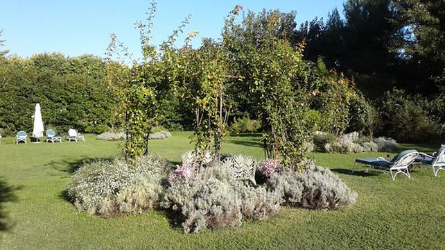 鲍尔帕拉迪欧温泉酒店主图