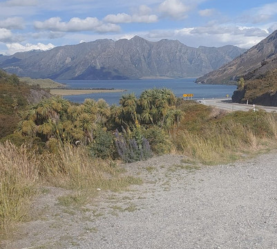 No Worries Tours-特拉维夫必去景点