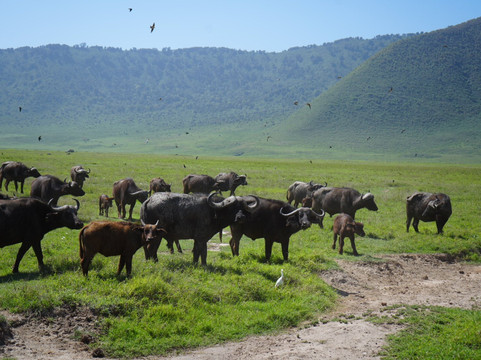 Great Escape Trails-莫西必去景点