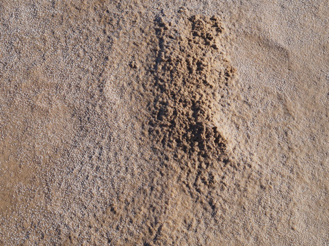 Chott El Jerid-吐泽尔必去景点