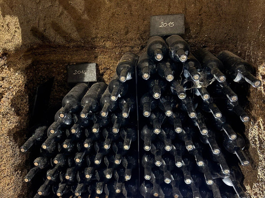 Azienda Agricola Palazzone-奥尔维耶托必去景点