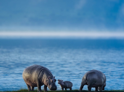 Pasheric Tours And Travel-坎帕拉必去景点