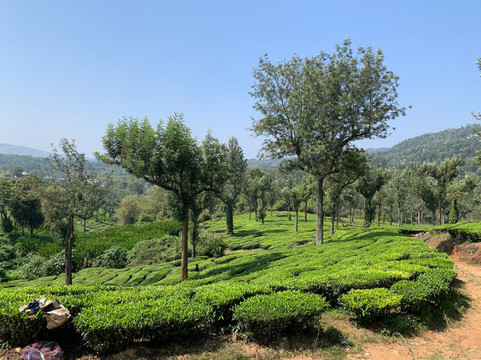 Tharani Tours-金奈（马德拉斯）必去景点