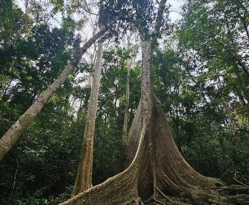 Vietnature Tour (cattien Wild Tour)-Tan Phu District必去景点