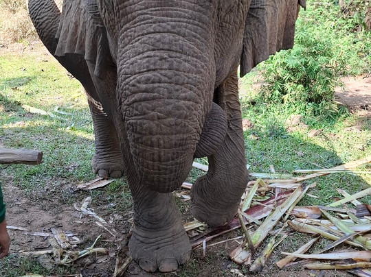 Chateau Orientale主图