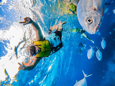 Palmar México-艾库玛尔必去景点