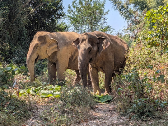 Somboon Legacy Foundation-Klon Do必去景点