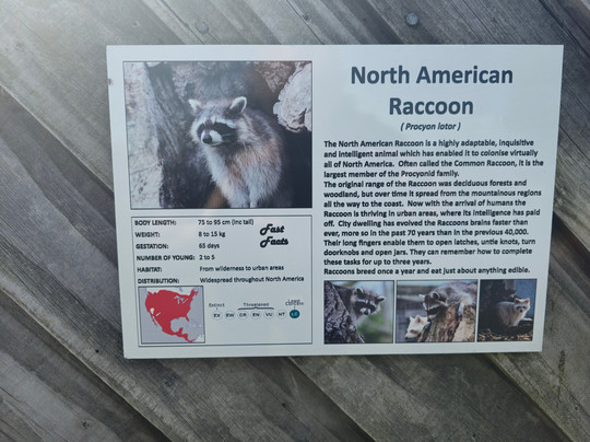 Hamerton Zoo Park-Sawtry必去景点