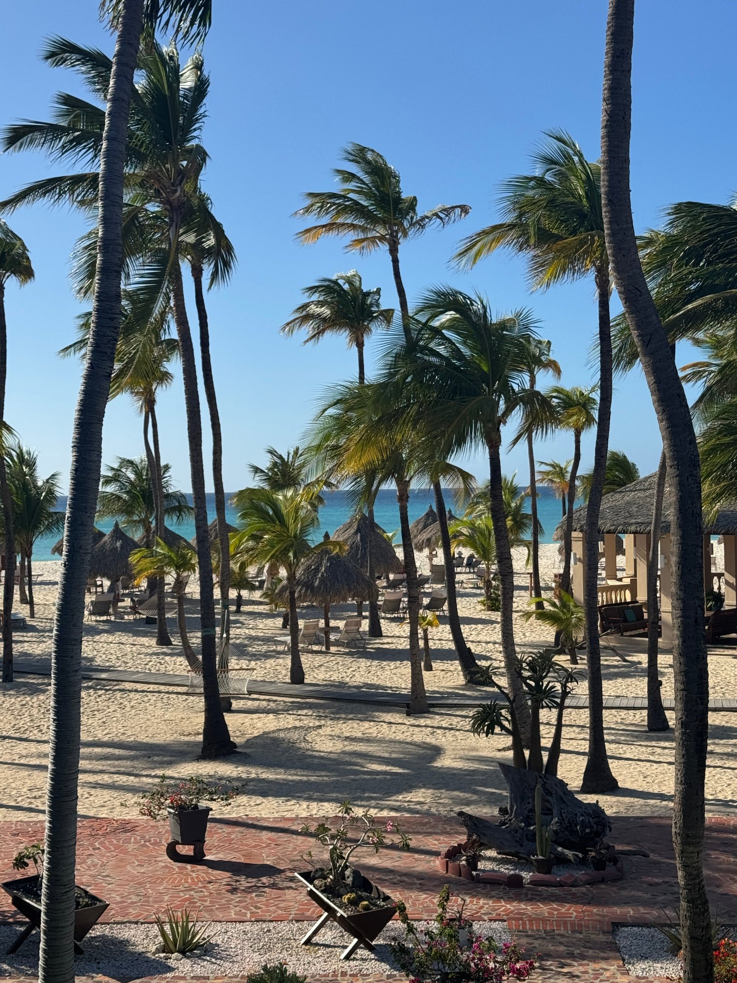 Manchebo Beach Resort & Spa-官方