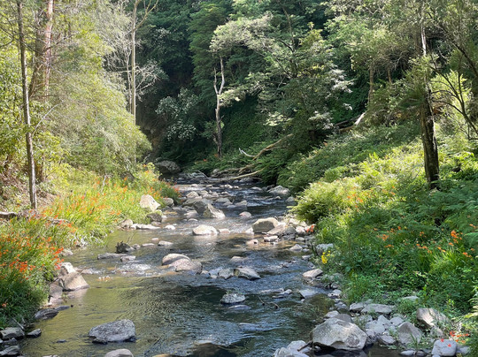 Strzelecki Trail Route 94-Tarra Valley必去景点