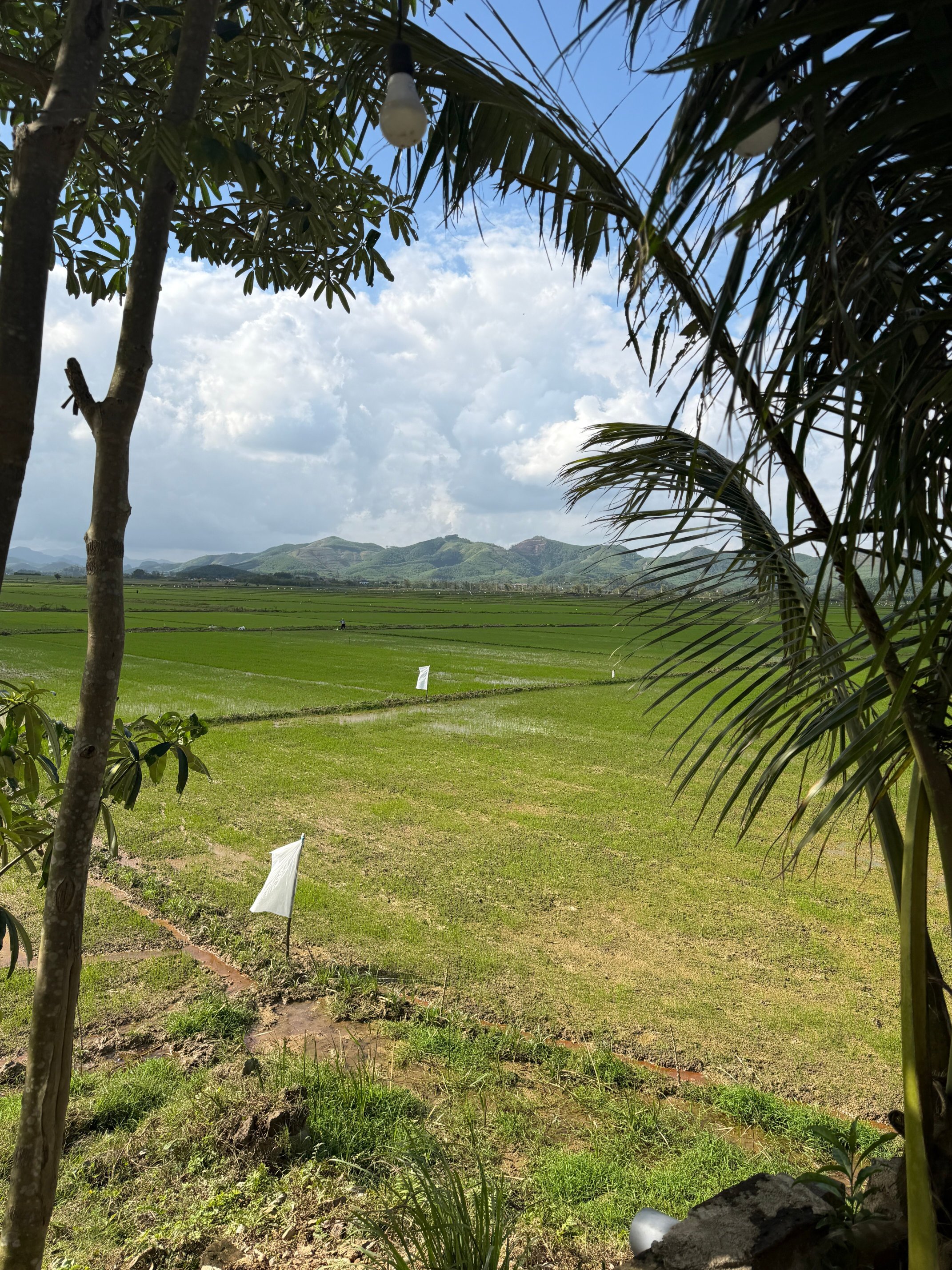 Phong Nha Farmstay-浴室