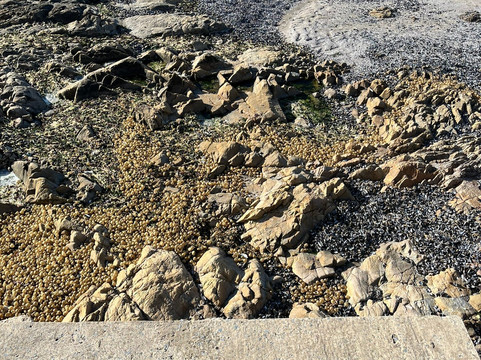 波多黎各德埃斯特角城-埃斯特角城必去景点