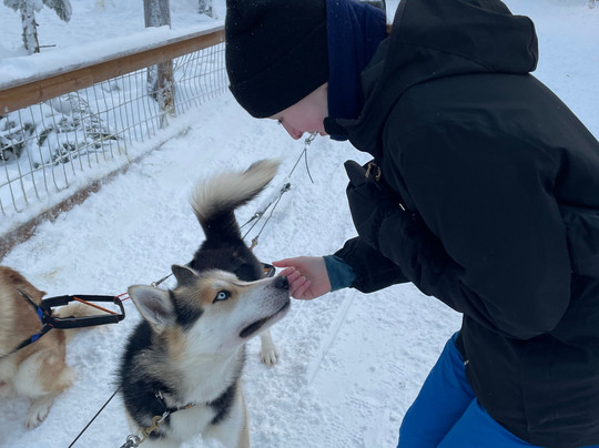 Arctic Circle Husky Park-罗瓦涅米必去景点