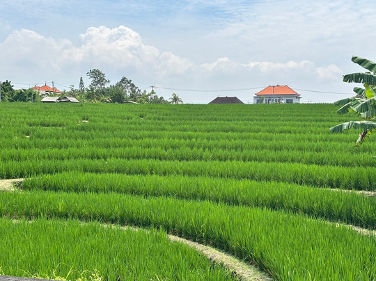 Bali Guia en Espanol-Mas必去景点