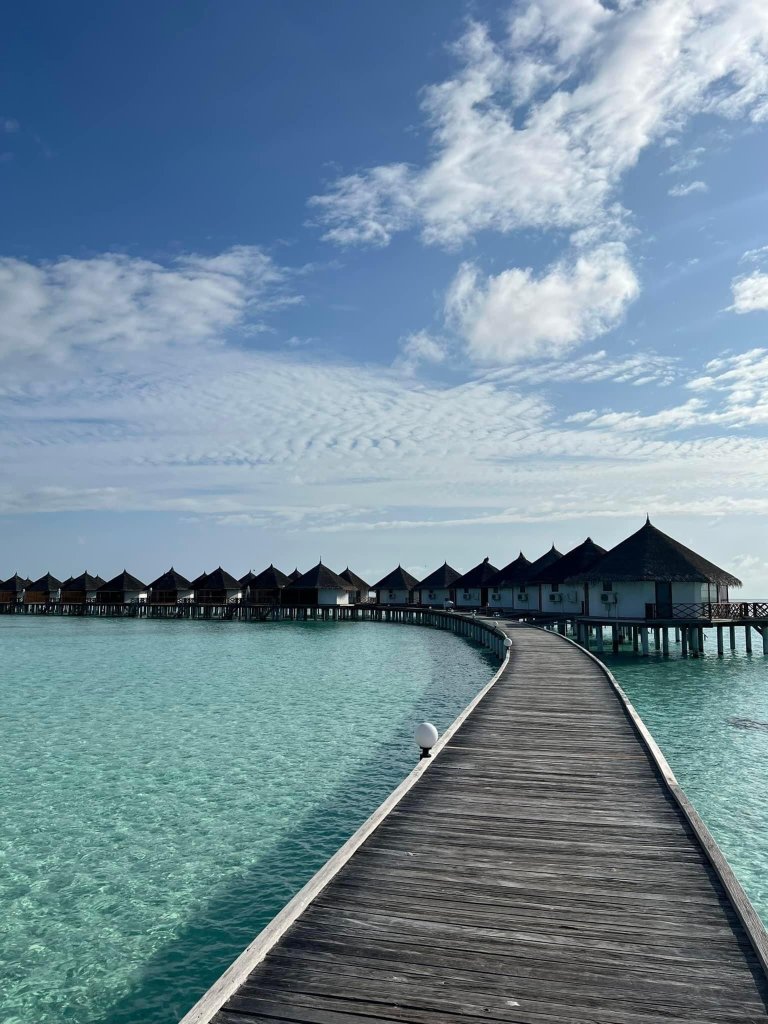 野生动物园岛度假村-官方