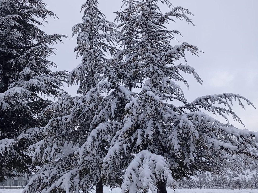 West Davraz Hotel主图