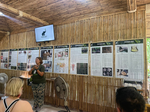 Hidden Forest Elephant Reserve-查龙必去景点