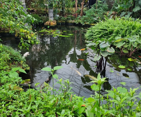 Stratford Butterfly Farm-埃文河畔斯特拉特福必去景点