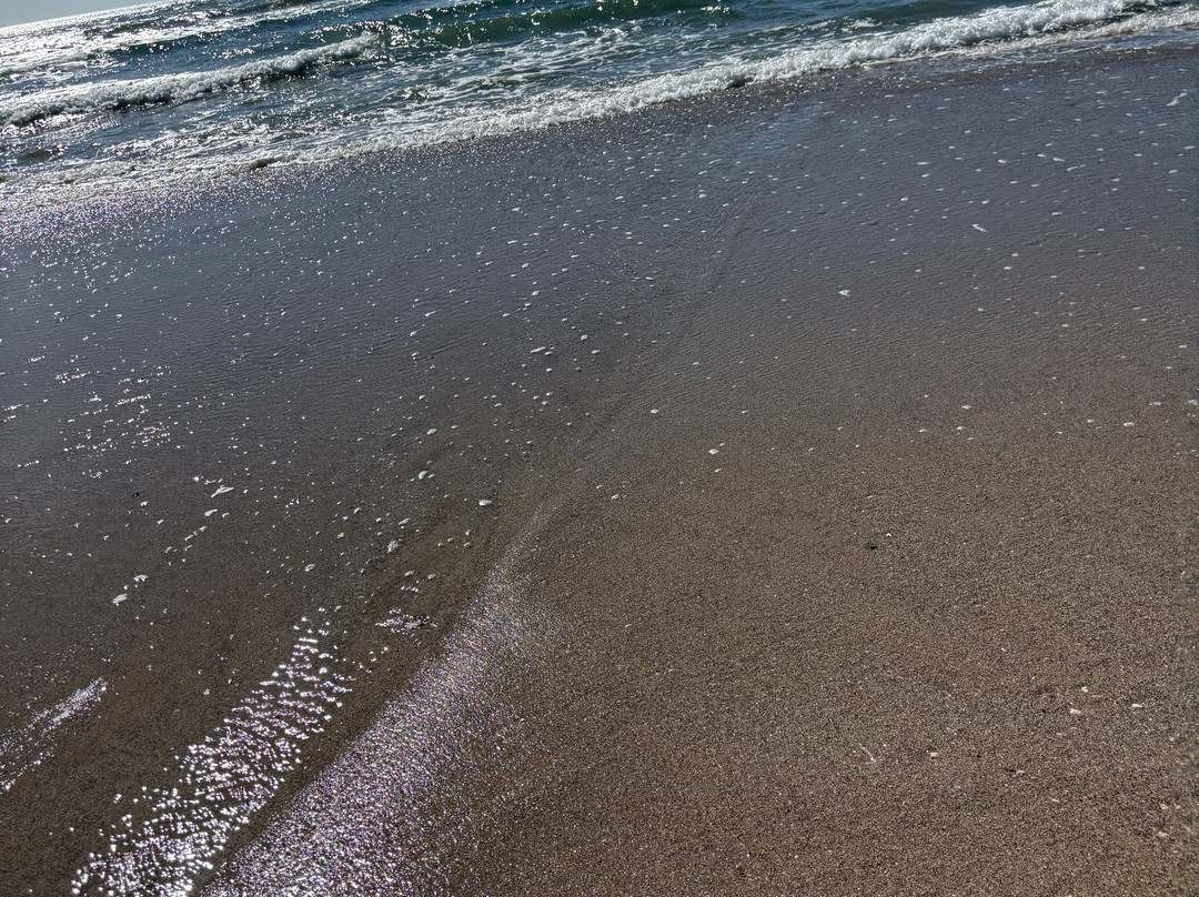 塔马林德西洋酒店-全包主图