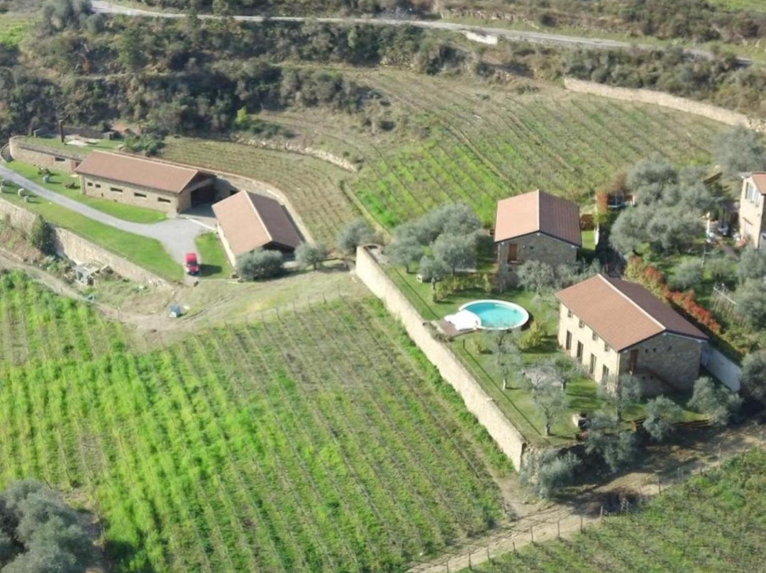 Agriturismo Altavia Travigne