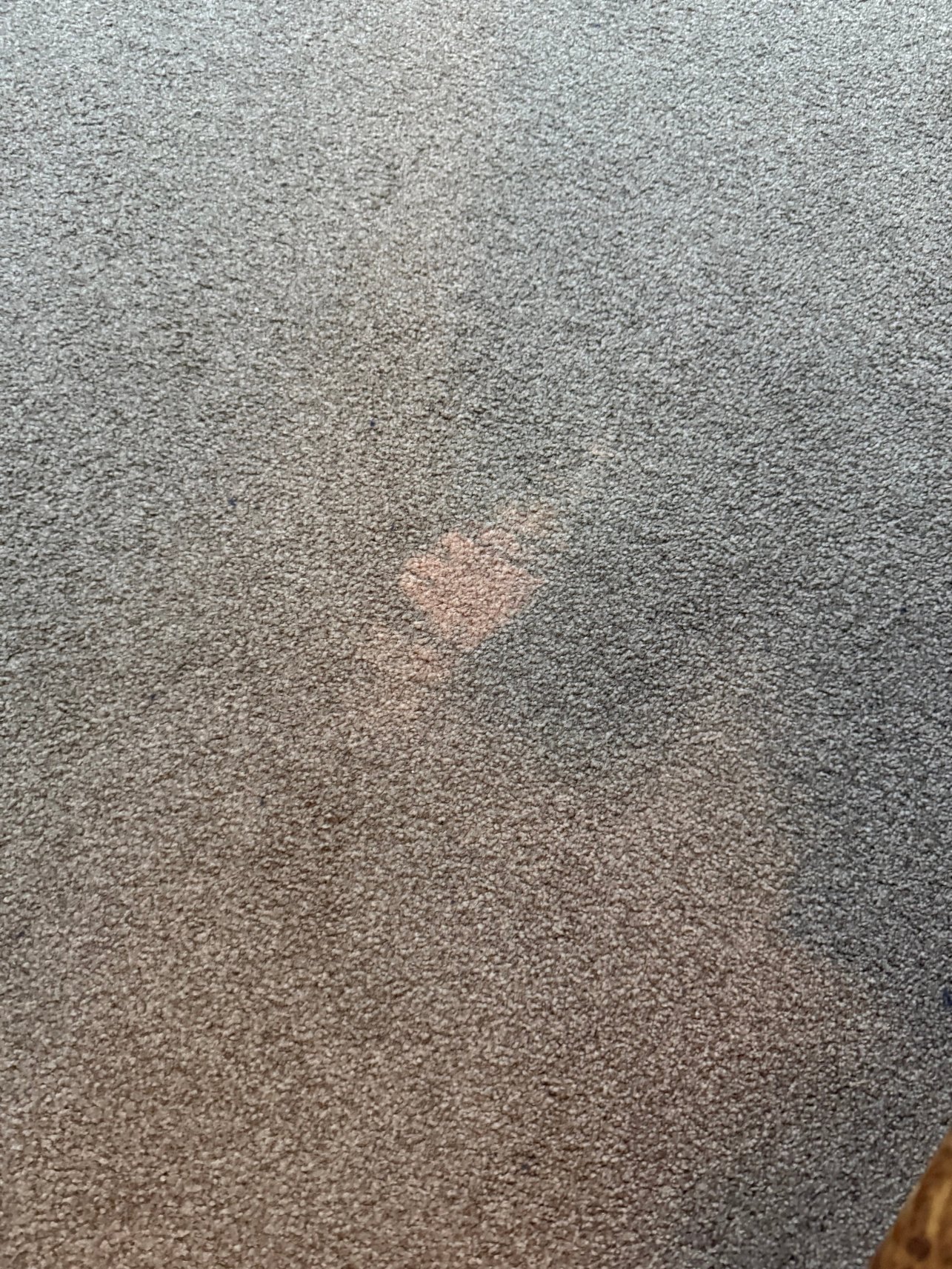 Gästehaus Alte Schule-官方