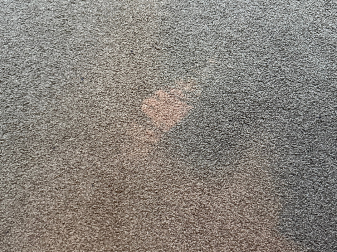 Gästehaus Alte Schule主图