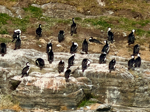 Serrano Glacier-百内国家公园必去景点