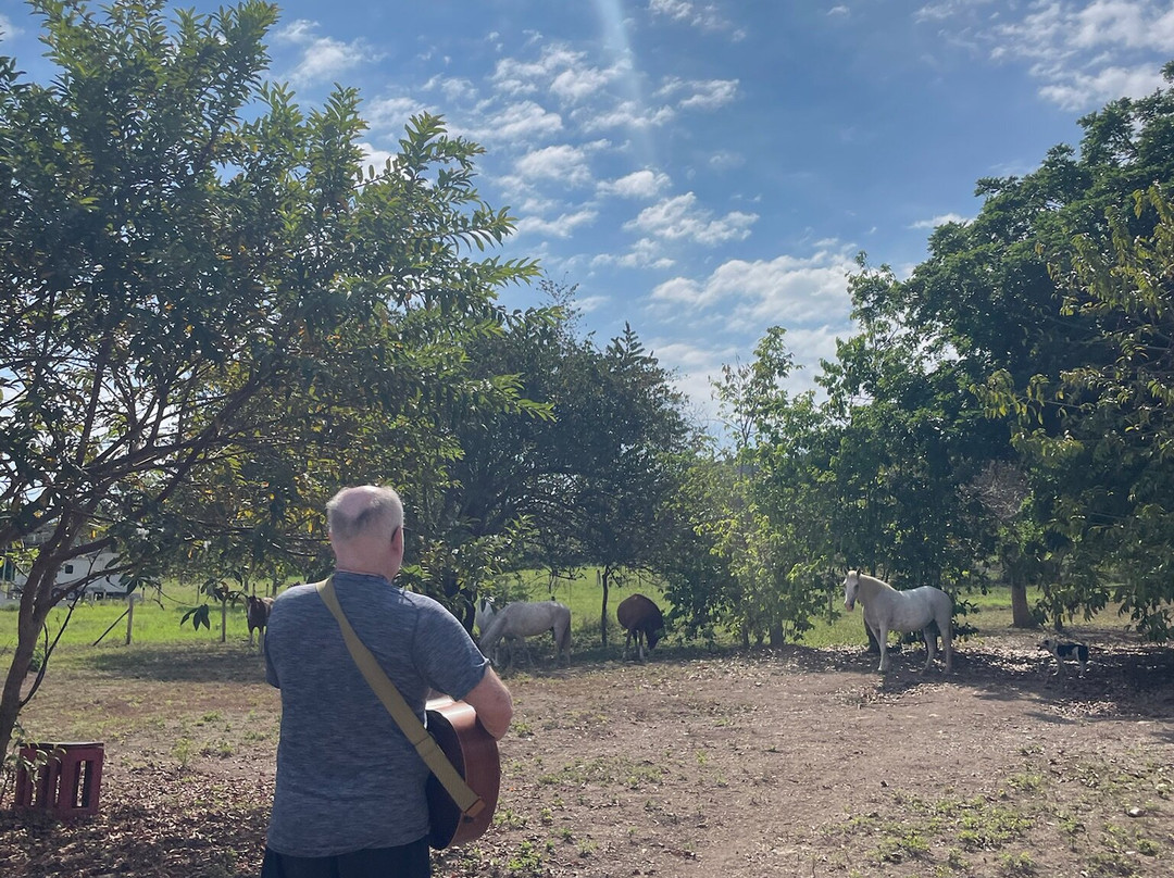 Horse Spirit Healing-Cabuya必去景点