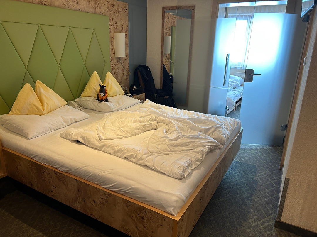 Sporthotel Ideal主图