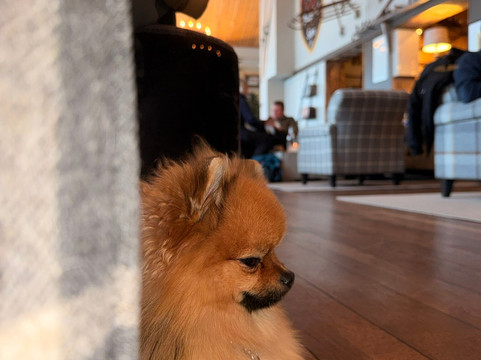 Hotel Bugelhof主图